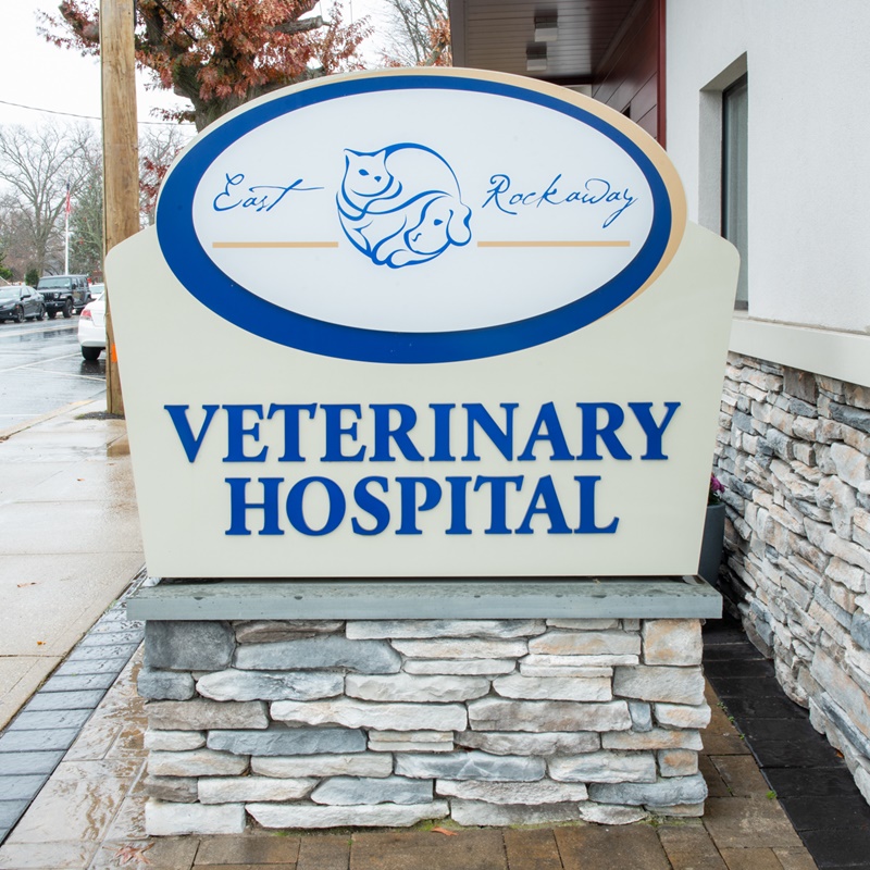 About East Rockaway Vet Hospital Vet In East Rockaway, NY