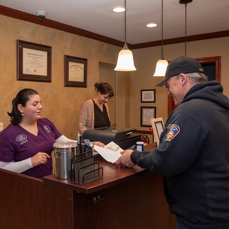 East Rockaway Veterinary Hospital FAQs